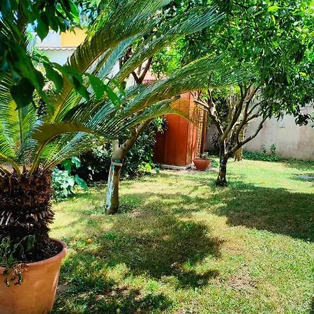 Greenhouse_anzio Apartmán